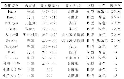 牛油果是热门表款吗,牛油果适合在什么地方种植