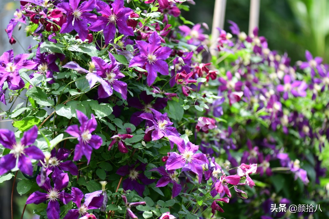 愿时光静止,愿时光静止在这一刻