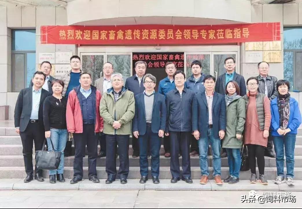 山东临沂牧原农牧有限公司,山东临沂大力发展聪颖农业