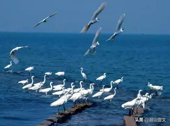 汕头不用花钱好玩的地方,潮汕汕尾旅游景点大全