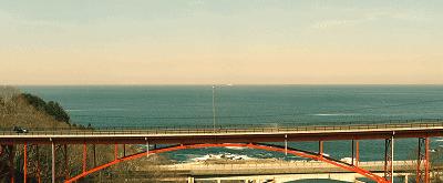 影帝影后的电影不断扑街,影帝影后烂片