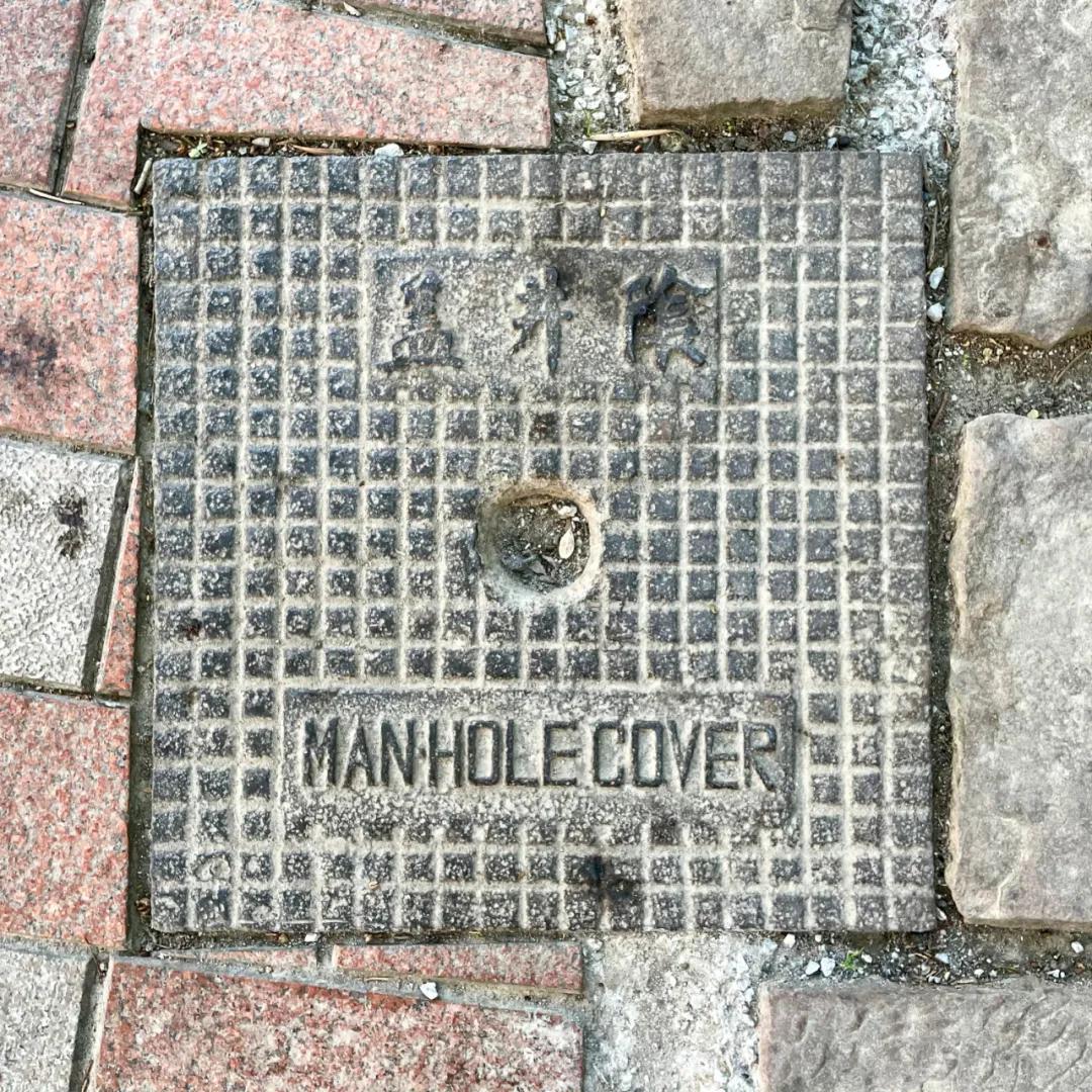 不要错过上海的春天,不要错过上海的夏天