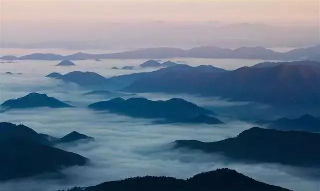 待到春暖花开时与你共赏樱花烂漫,待到春暖花开日便是把酒言欢时