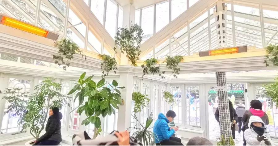 中国雪乡vs日本北海道雪景,日本北海道和东部雪乡哪个好