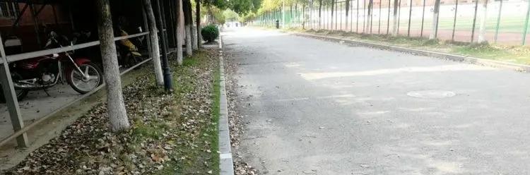 @亲爱的浠水思源学子：疫散花开，等你回来！