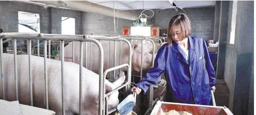 农村十大新型养殖业,农村现在养殖业什么前景好