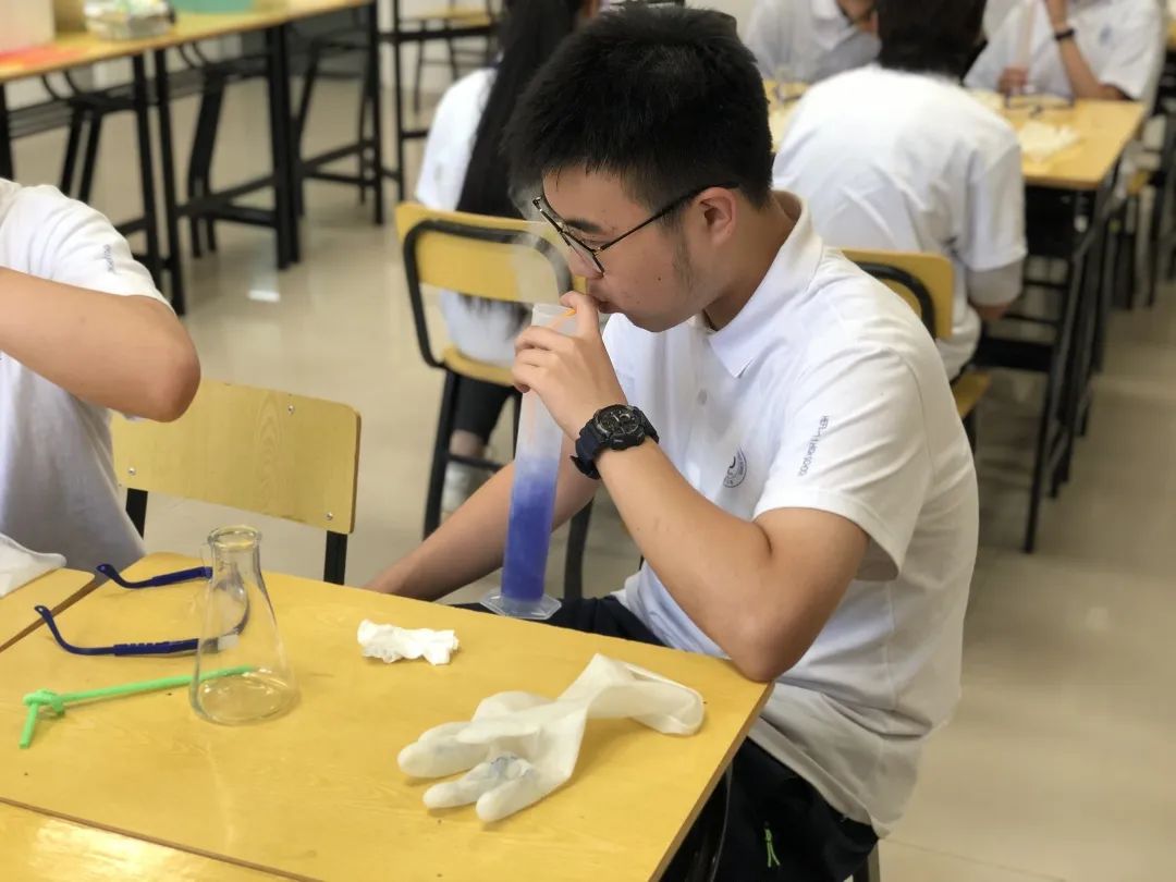 合肥一中蒙特威高中,合肥一中美国高中