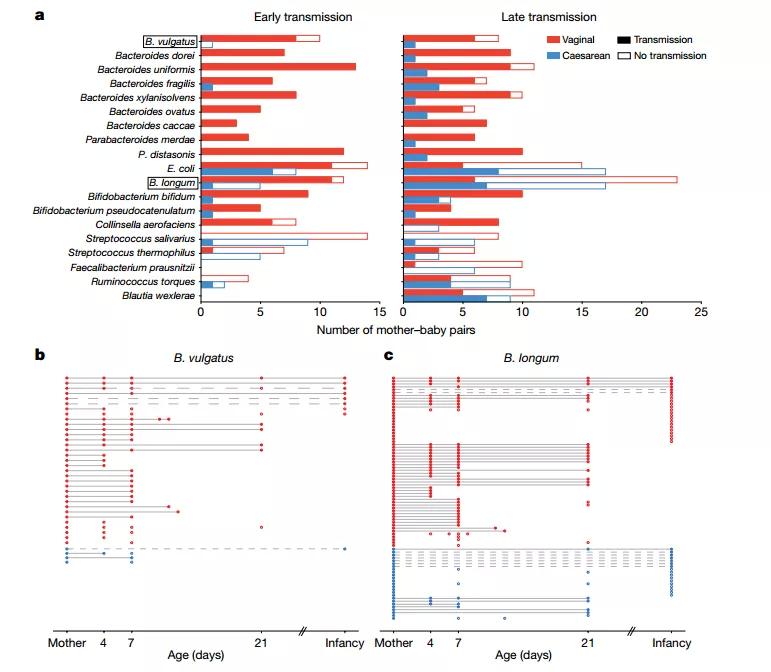 Nature发表迄今最大规模研究发现，剖宫产会影响新生儿期的肠道菌群构成，但会真的影响长期健康吗？