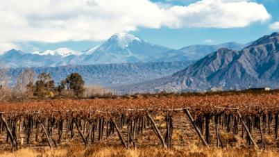 凉州词葡萄美酒夜光杯古诗讲解,王翰葡萄美酒夜光杯完整版视频