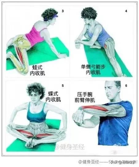 打完球要拉伸有什么作用,松解球怎么松解背部