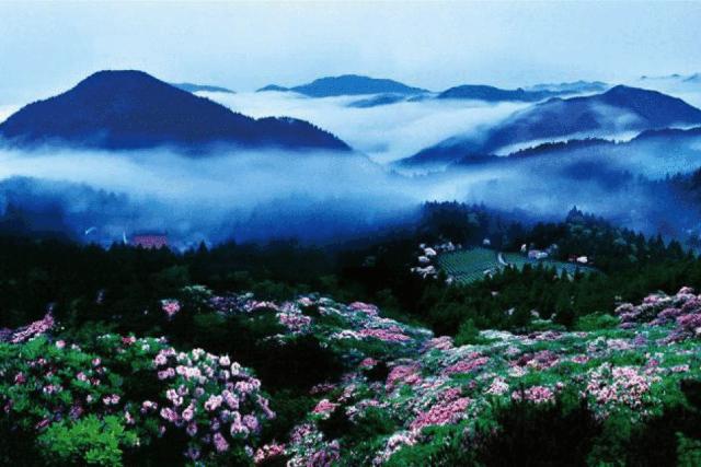 眺云海秘境、西子春晓，每一家都是旅行艺术，带你躺入春天~