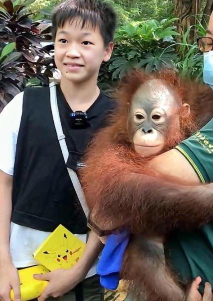 杨倩被称跪族少女，王梦洁上热搜，红姐无辜躺枪，用万元手机被黑