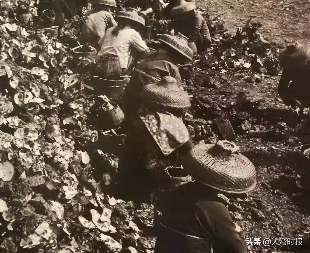 姹熷啺,姹熷啺鍟ら厭骞垮満