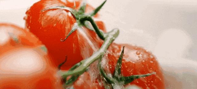 染色后一洗就掉色,哪些蔬菜一洗就掉色