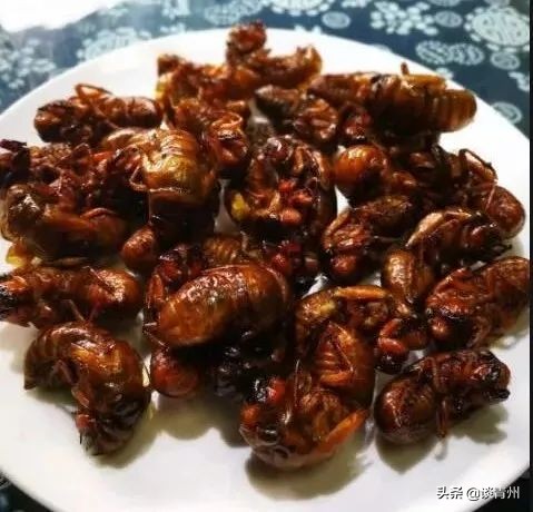 临朐舌尖上的美食,舌尖上的美食临朐