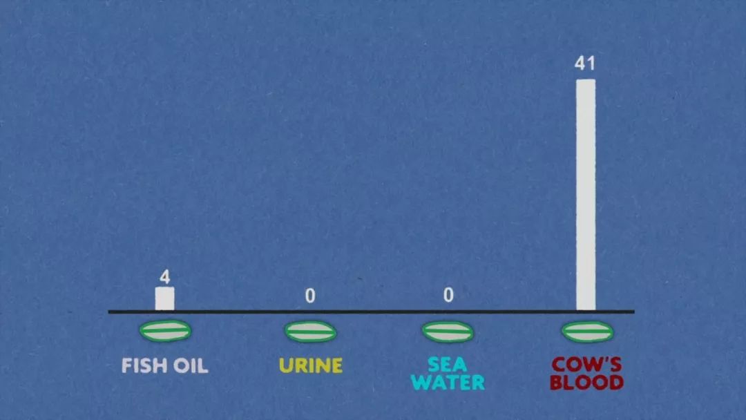 为了弄明白鲨鱼爱不爱吃人，这群人拿自己做实验，答案很意外