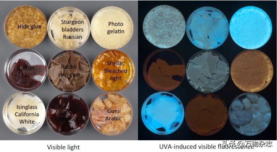 百万美金买的千年古籍实际才刚成年？现代打假技术太给力了