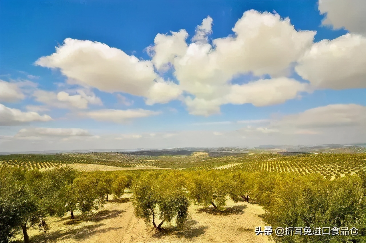 西班牙进口橄榄油可靠吗,西班牙fuensana特级初榨橄榄油