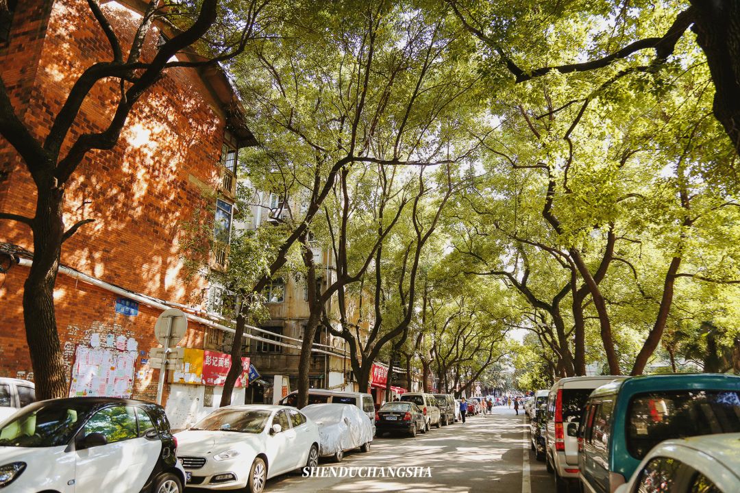 长沙旅游攻略必玩的十大景点介绍,长沙适合秋季打卡的景点