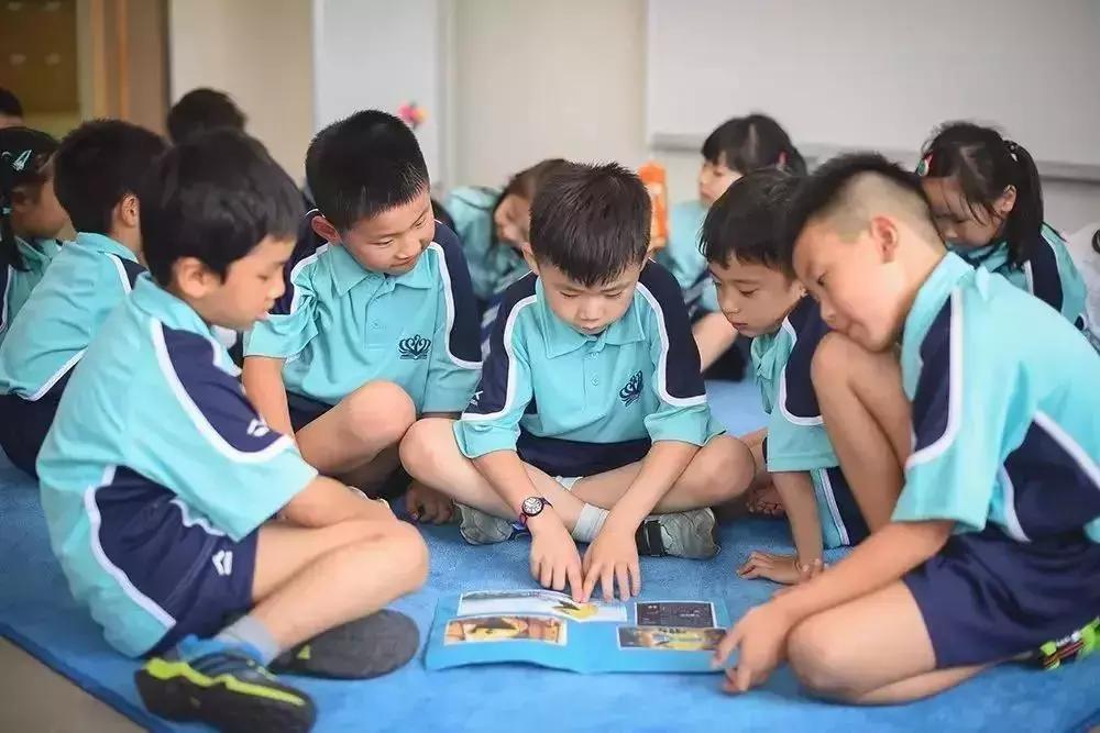 上海宝山区小学排名一览表2020,2021上海奉贤区重点小学排名一览