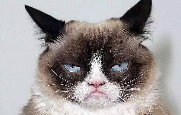 香港留学的一些问题,香港留学的四大问题