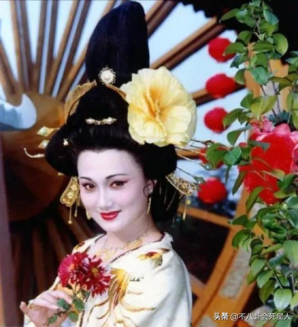 丁克富婆,娶富婆的四位男星