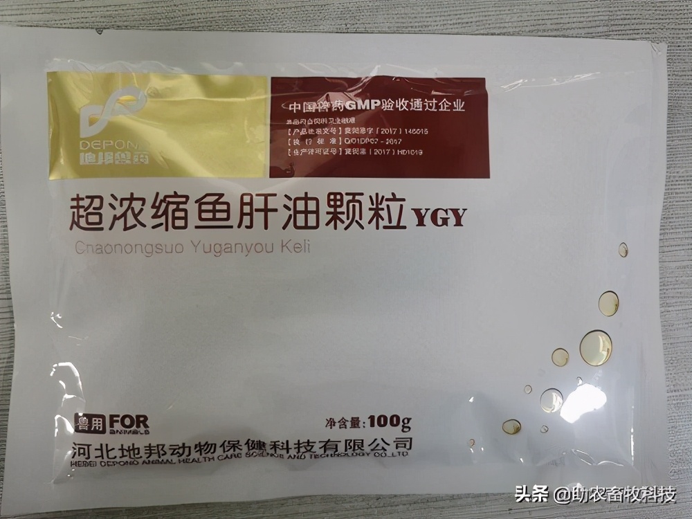 鹅肠道病的症状与治疗,快速判断鹅病的四种方法