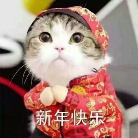 猪年拜年表情包大全,猪年表情包可爱