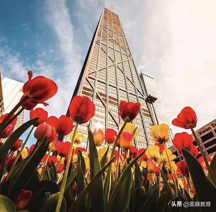 加州大学伯克利分校数学排名,伯克利分校排名