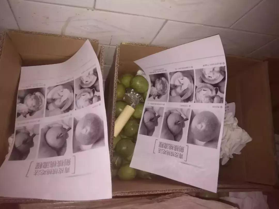 淳化郭丁村电商服务站合伙人，就是当之无愧的电商巾帼