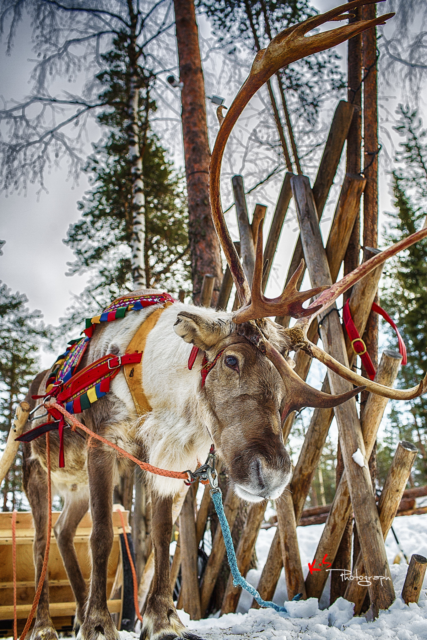 果小姐的日常,果小姐的慢生活