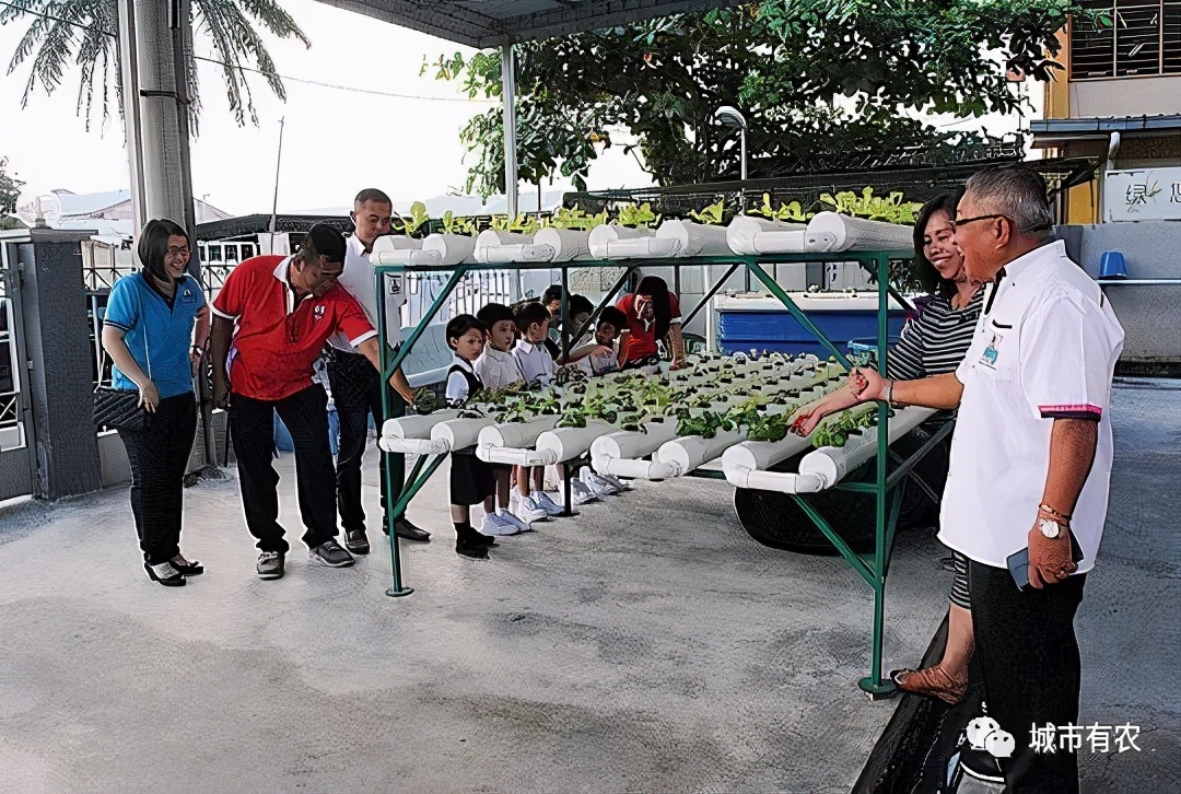 农业大学鱼菜共生技术,鱼菜共生聪颖农业