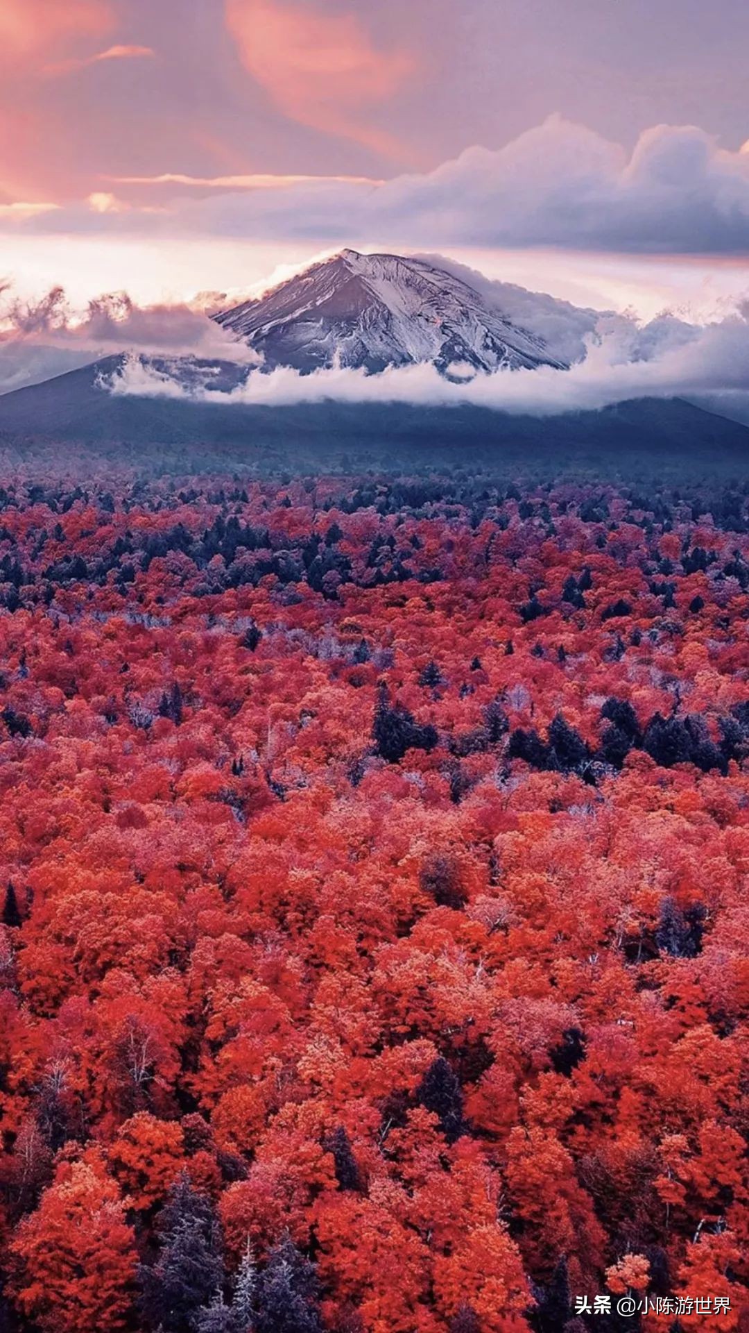 日本赴华旅行,日本赴中国旅游