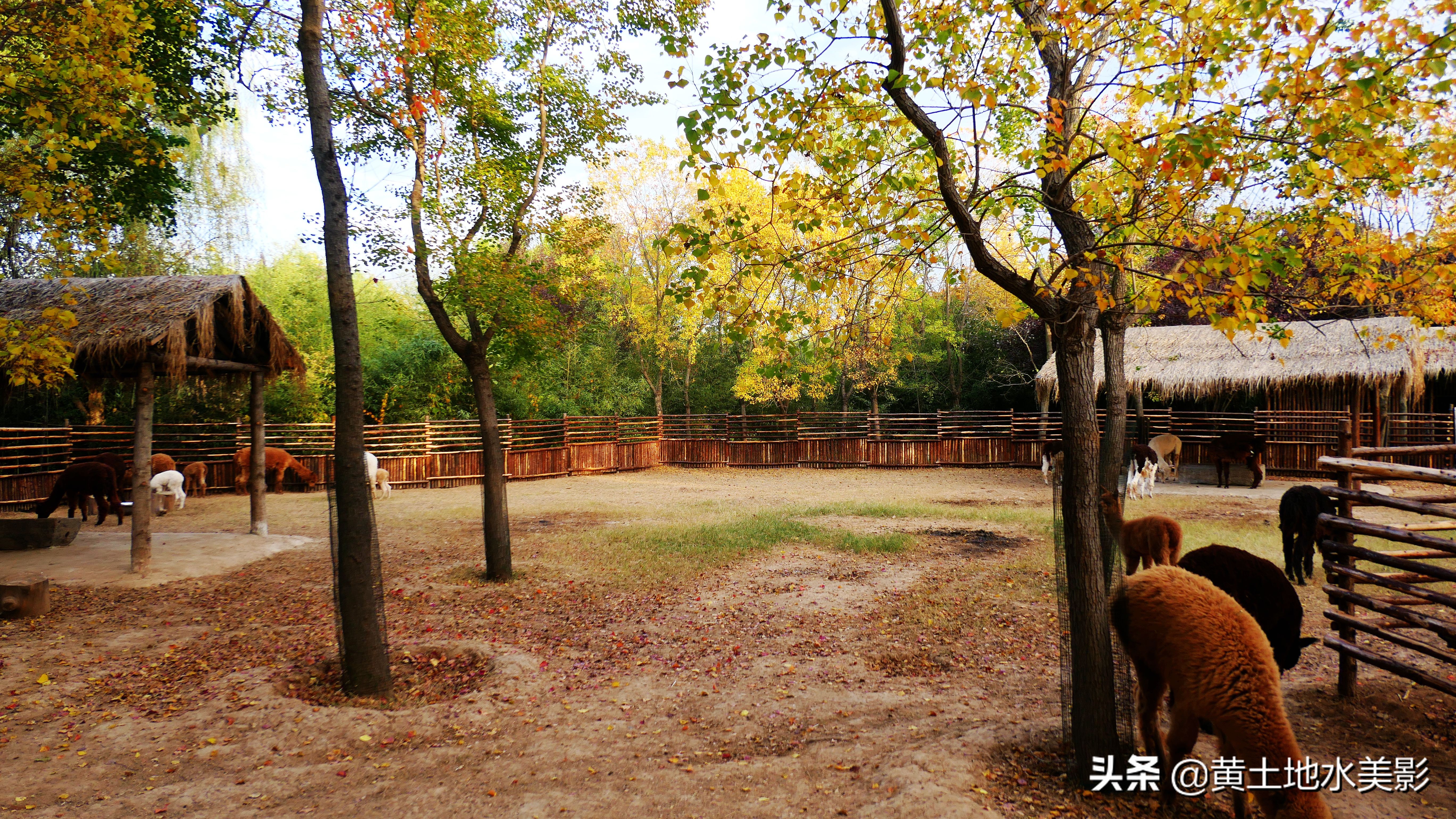 占地590亩的湿地公园,野生动物比较多的旅游景区