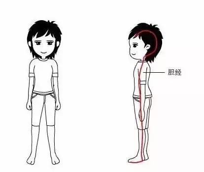 胆经敲错了,胆经每天敲多少