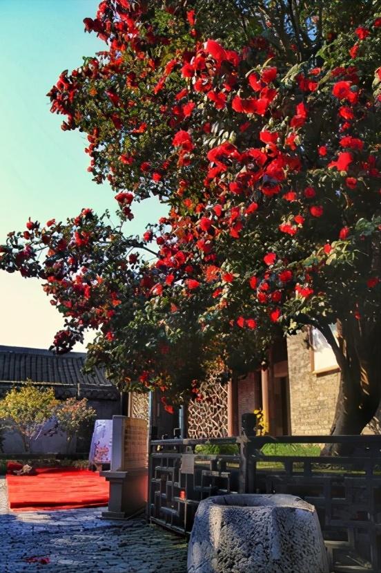 华东江苏篇,浅谈全国各省份