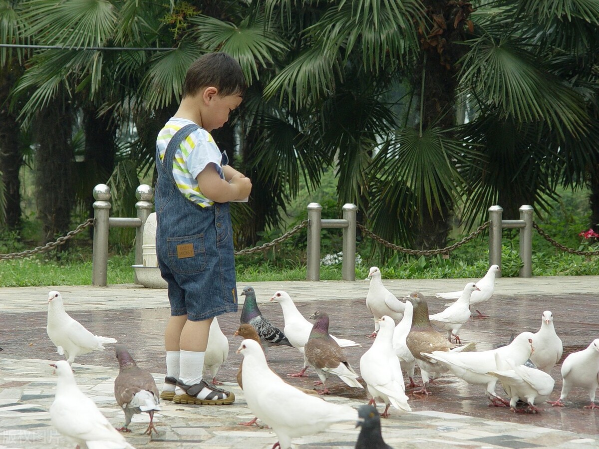 九型人格类型有哪些,九型人格类型4