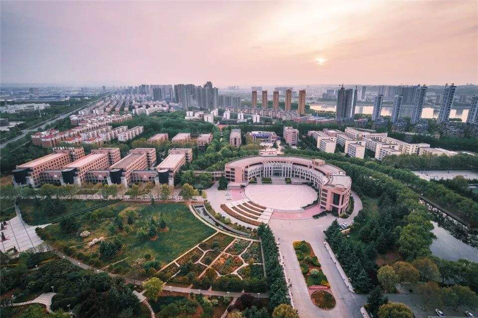 洛大记忆（2008年）