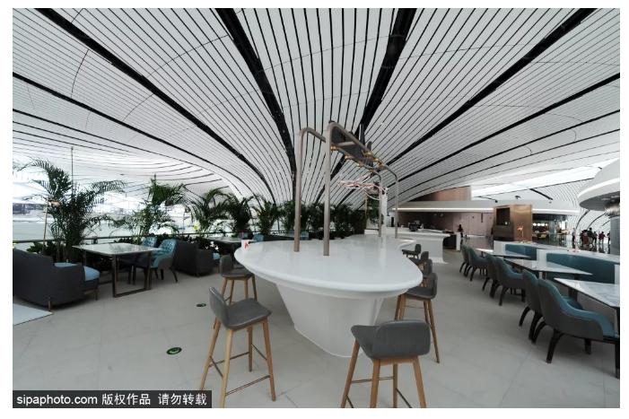 新国门“兴”世界开放之旅：大兴国际机场—钧天坊古琴基地—同仁堂零号店