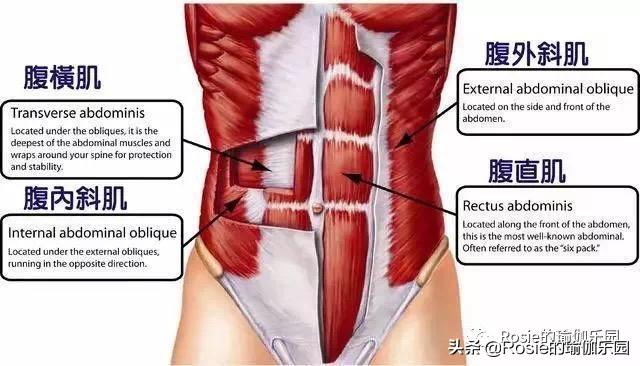 盘坐后腿疼,盘膝坐后直立起来腿痛