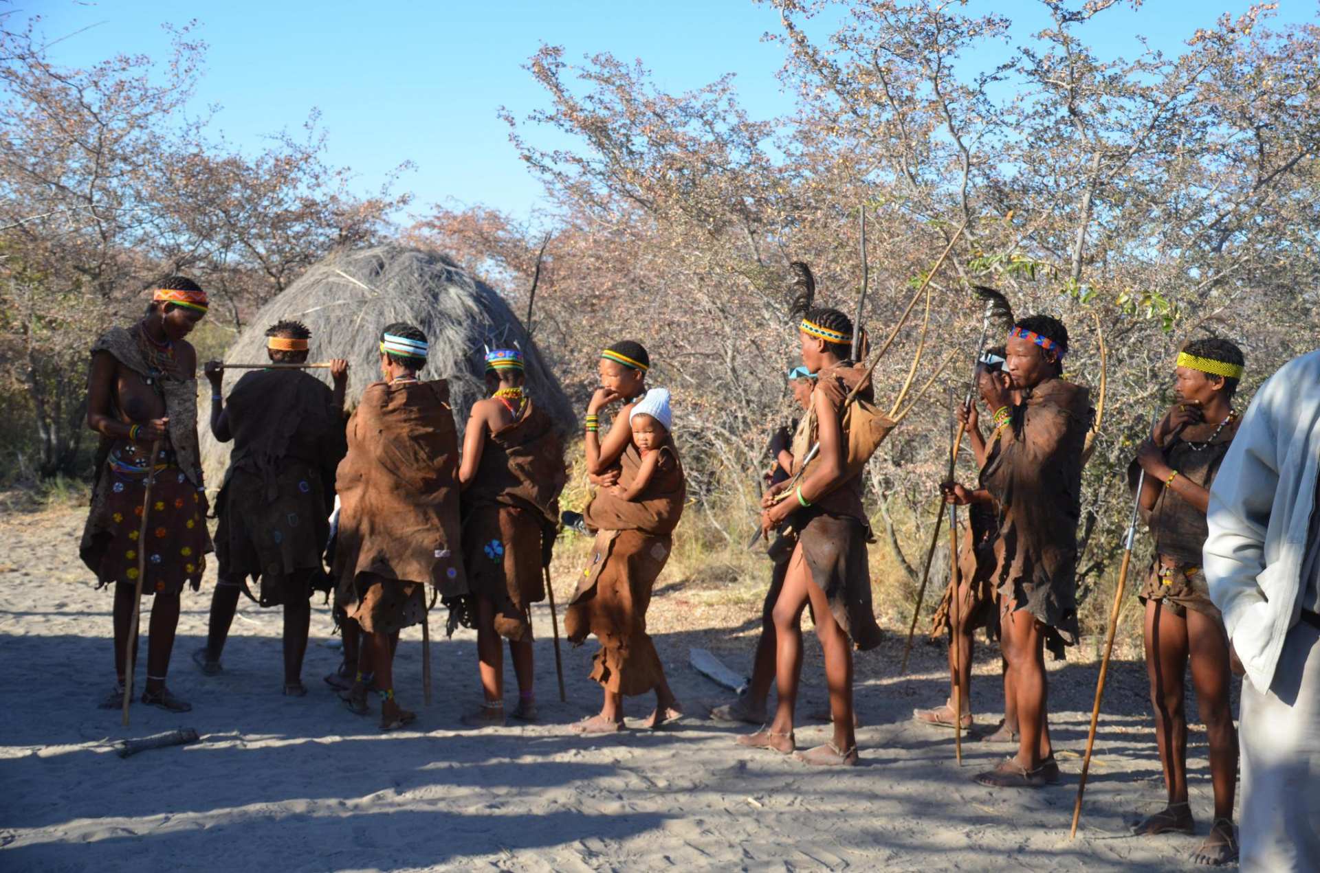 腋毛、阴毛和头发的用处是什么？为什么它们被保留下来了？