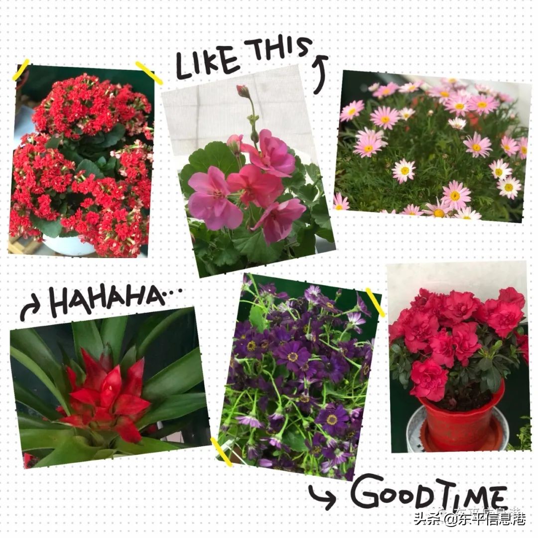 新学期开创新辉煌手抄报,新学期新希望再创新辉煌