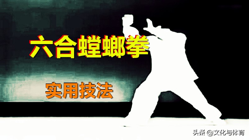 六合螳螂拳手法,6合螳螂拳