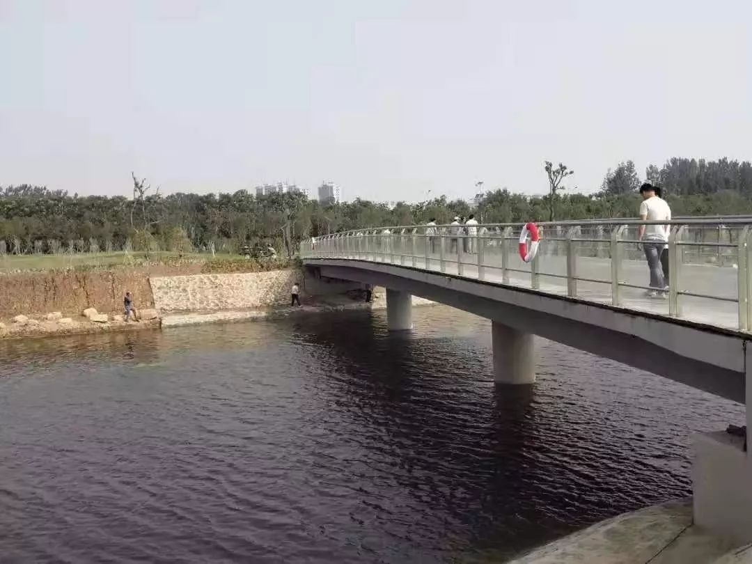 新乡南湖公园对比夏荷公园,新乡南湖公园优势