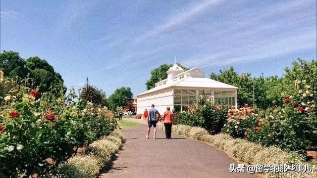 中国乒乓球重回巅峰,中国乒乓球员火了