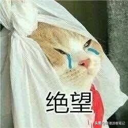 中李佳琦的毒太深！？这些鸡肋彩妆你买了？