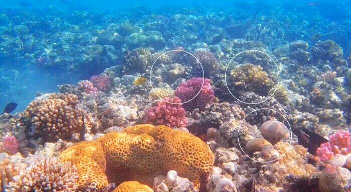 夏天就应该和大海亲密接触,每天都要与大海亲密接触