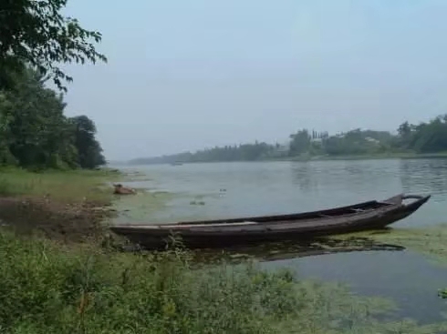 鸡鸣风雨,鸡鸣埠监利