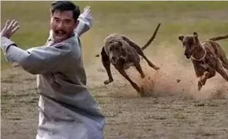 生活冷知识,生活冷知识短视频大全最新