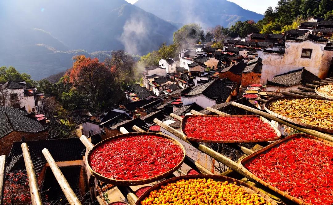 第八届篁岭晒秋文化节,篁岭晒秋嘉年华